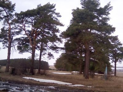 Братская могила партизан