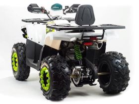 Квадроцикл MOTOLAND ATV 200 Wild Track