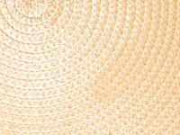 Плейсмат Minnesota X