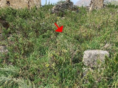 Хозяйственная постройка № 5 архитектурного комплекса "Мусийкъонгийкоте"