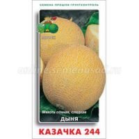 Дыня Казачка 244