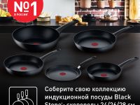Сковорода для блинов Tefal Black Stone 25 cм G2813872