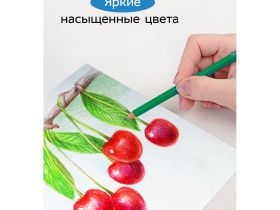 Набор карандашей цветные Гамма "Классические" 12 цв., заточен., картон. упаковка, европодвес