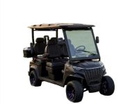 Гольфкар TRAVELPARK 4