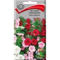 Петуния гибридная Смесь окрасок
