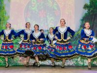 Дрокинский сельский дом культуры