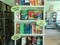 Новоильинская поселковая библиотека – филиал № 19