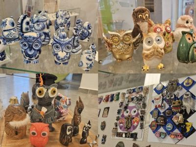 В SMART-библиотеке Якутска открылась выставка, посвященная совам и филинам