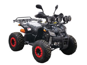 Квадроцикл BISON Kids 125 LD