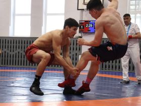 В Якутске выявили победителей турнира по хапсагаю на призы радио «Тэтим»