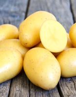 Картофель Ривьера, элита
