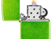 Зажигалка ZIPPO Logo с покрытием Lurid™, латунь/сталь, зеленая, глянцевая, 38x13x57 мм