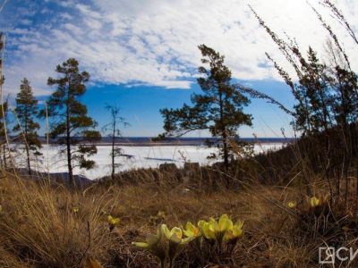 Короткие поездки и спокойный отдых стали трендами майских праздников среди жителей Дальнего Востока