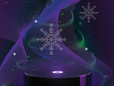 Премьерская елка