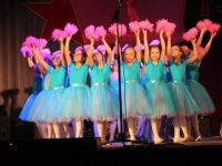 Районный дом культуры с. Знаменского