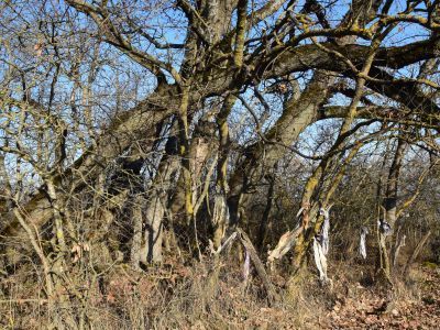 Святилище "Къядила пир"