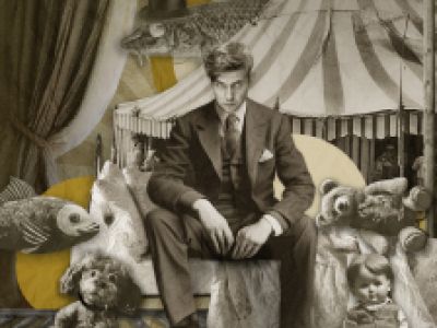 Сны мальчика. Сказки Щедрина