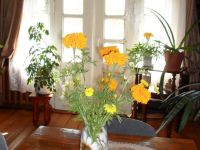 Библиотека № 9 им. М. М. и Е. П. Нарышкиных