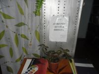 Сунгайская поселенческая библиотека-филиал