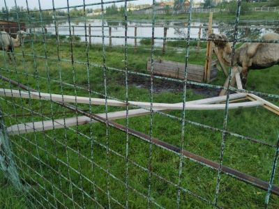 В Якутии от урагана пострадал зоопарк «Орто Дойду»