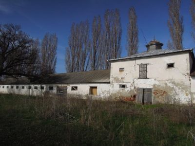 Главный конный двор с разъездными башнями, манежем и конюшнями