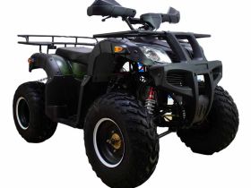 Квадроцикл ATV Classic 200 Lux