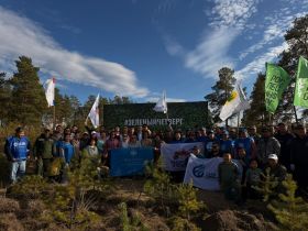 Якутяне высадили 600 сосен для геоглифа «Победа-80»