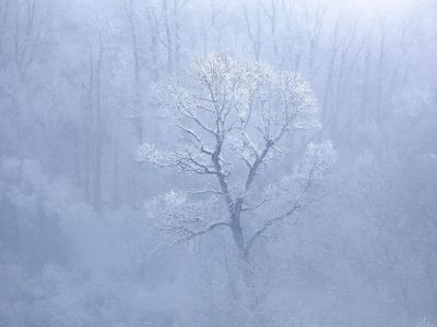 Внимание! Ветер усиливается