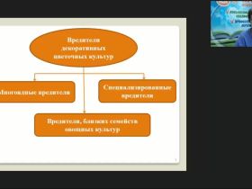 Международный вебинар "Защита декоративных цветочных культур от вредителей в открытом и защищенном грунте"