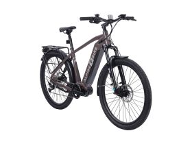 Электровелосипед Alpine Bike Dammastock, год 2025, цвет Коричневый, ростовка 20
