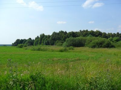 Парк усадьбы Апраксиных