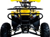 Квадроцикл AVANTIS Patriot M