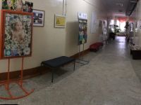 Центральная библиотека Андроповского округа