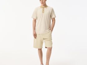 Мужское поло Lacoste из хлопка