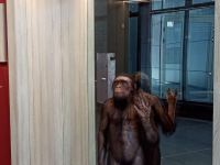 Историко-культурный музей-заповедник «Шульган-Таш»