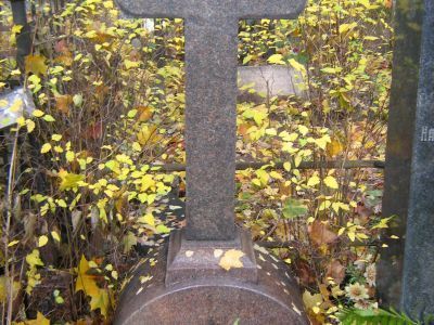 Могила Шорыгина Павла Полиевктовича (1881-1939)