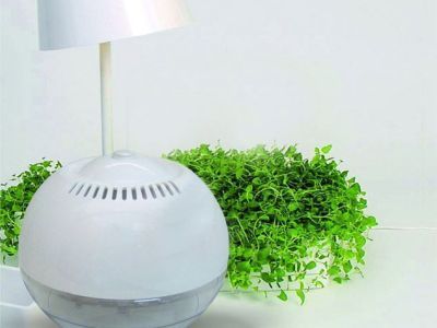 Россиянам рассказали, помогает ли ионизатор воздуха при борьбе с COVID-19