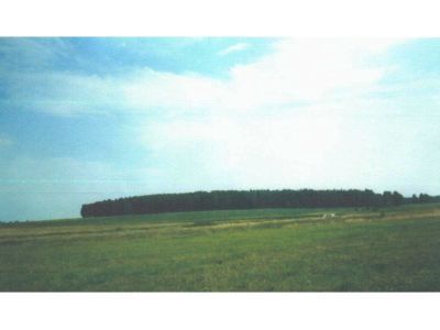 Священная роща