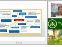 Специальная педагогика как область педагогического знания (ФГОС НОО для обучающихся с ОВЗ)