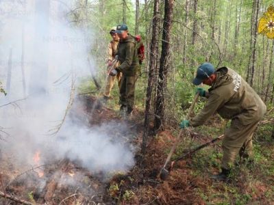 Идет тушение лесного пожара в Чуонинском наслеге