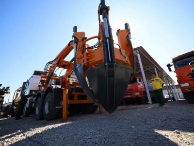 Якутск начнут озеленять взрослыми деревьями