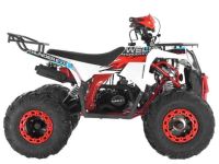 Квадроцикл WELS Thunder EVO X ST