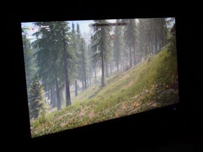 Готовят цифровую платформу для управления лесным хозяйством на Дальнем Востоке