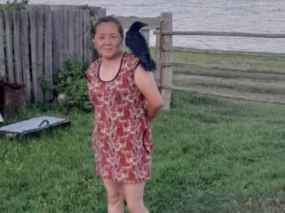 «Дома как хозяин ходит»: жительница Хангаласского улуса приютила дикого ворона