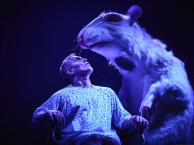 Билеты на Цветы для Элджернона (Старый дом) / Театр | Афиша | ИнфоТаймс