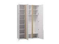 Распашной шкаф Ренар 3-150x250 Белый