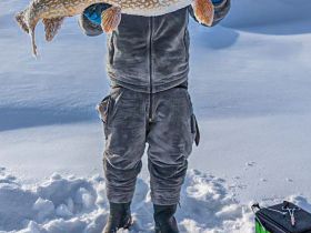 Эксклюзивная трофейная рыбалка на Вилюе: нетронутые места, гарантированный улов.