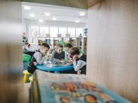 Лысогорская центральная детская библиотека