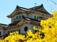 Сахалинский областной краеведческий музей