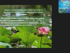 Международный вебинар "Защита декоративных цветочных культур от вредителей в открытом и защищенном грунте"